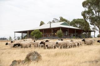 Gilgraves Vineyard Farmstay - 0
