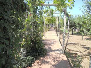 Villetta Patitari - Gallipoli - 3