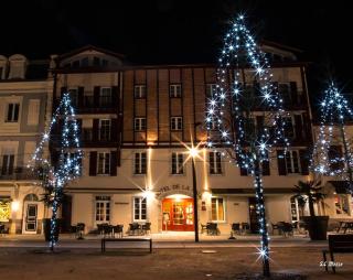 Hôtel-Restaurant de La Paix - Saint-Palais - 7