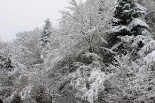 Hôtel Le Relais de Piau - 1