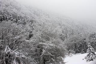 Hôtel Le Relais de Piau - 2