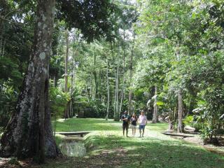 Surinat Luxury Resort - 3