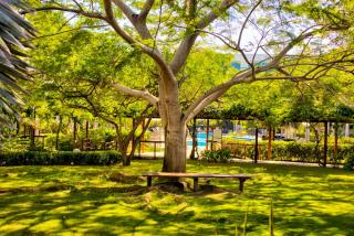 Estelar Playa Manzanillo - All inclusive - 8
