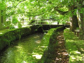 Jardin de Carrejo - Cabezón de la Sal - 6