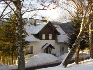 Penzion SPICAK - Železná Ruda - 4