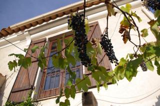 Les Amandiers - Vallauris - 5