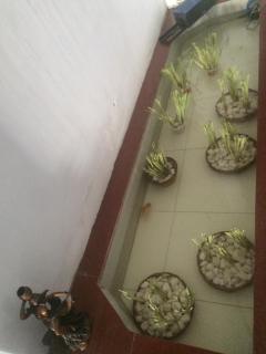 Y Bon - Phan Thiet - 7