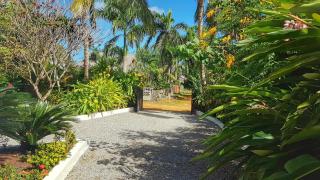 La Belle Créole - Las Galeras - 6