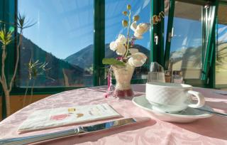 Seiterhof - Schladming - 1