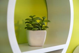 Apartments Ani - Veli Lošinj - 5