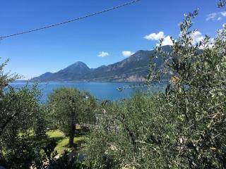 Mary Apartments - Brenzone sul Garda - 1