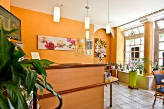 Logis Hôtel de France - Arudy - 8