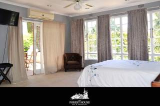 Forest House B&B - Harding - 0