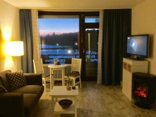 Seesicht Appartements am Kranichsee - Hahnenklee-Bockswiese - 1
