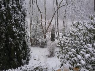 Au Jardin de Lisa - Cherreau - 6