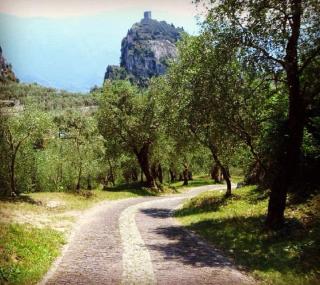 Appartamento Il Soffio - Arco - 3