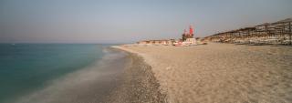 Palmed Hotel - Gizzeria - 4