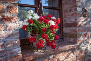 Agriturismo Nibbiano - 5