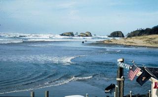 Webb's Scenic Surf - Cannon Beach - 0