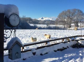 Tryfan, Betws y Coed, Snowdonia, 2 En-suite bedrooms - 6