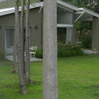 La Trinidad - 3