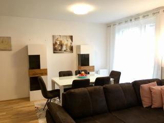 New Stylish Apartment - Wenen - 7