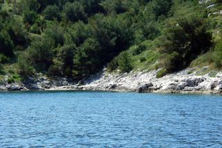 Seaside secluded apartments Cove Dumboka bay - Dumboka (Dugi otok) - 395 - Sali - 5