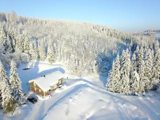Karkutahko Villas 1A - Spacious 3BR Villa in Tahko with Private Sauna - 1