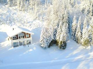 Karkutahko Villas 1A - Spacious 3BR Villa in Tahko with Private Sauna - 3