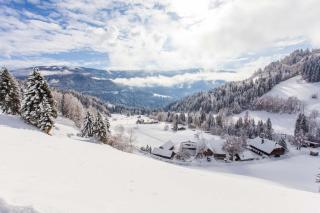 Bodnerhof - Arriach - 2
