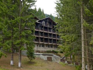 Ana Hotels Bradul Poiana Brasov - 9