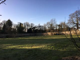 Garden Cottage - Carsluith - 7