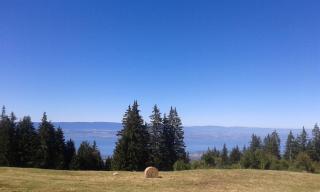 Appartement Zian Justine - 5