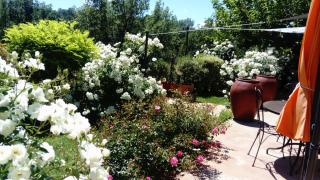 Villa des Roses - Roussillon - 1