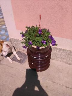 Milica Apartmani - 6