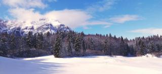 Casa Camilla Holiday - 3