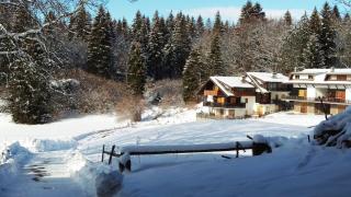 Casa Camilla Holiday - 9