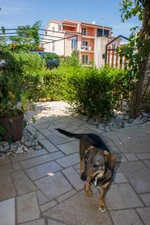 Apartmani Arijana Medulin - 2