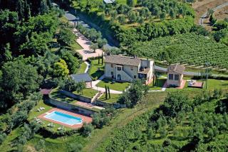Fattoria di Colleoli - Colleoli - 0