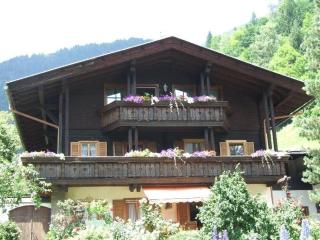 Ferien-am-Bauernhof-Wohnung-2 - Rangersdorf - 0