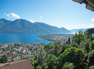 Residenza Paradiso App 1000 - Orselina - 3