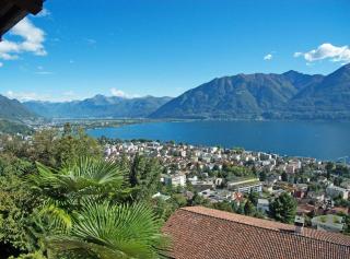Residenza Paradiso App 1000 - Orselina - 4