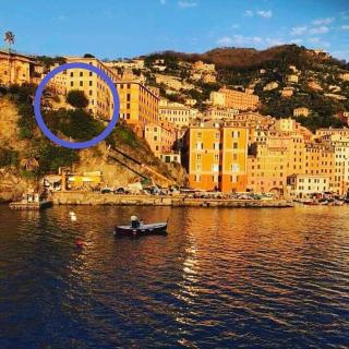 Al Piccolo Scoglio - Room & Breakfast - Camogli - 8