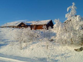Hakkesetstølen Hytter - Geilo - 0