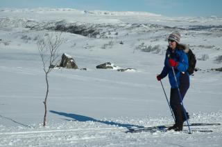 Hakkesetstølen Hytter - Geilo - 4