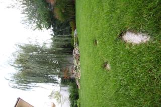 Familly Art Hotel Nirvana - 2