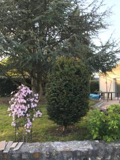 La Soierie - Châteauroux - 6