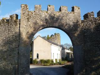Castlemartyr Holiday Mews 2 bed by Trident Holiday Homes - Castlemartyr - 0