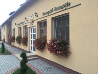 Gyongyvirag Panzio (Pensiunea Lacramioara) - 7
