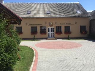 Gyongyvirag Panzio (Pensiunea Lacramioara) - Turia - 8